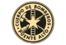 Bomberos Puente Alto