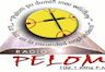 Radio Pelom (Padre Las Casas)